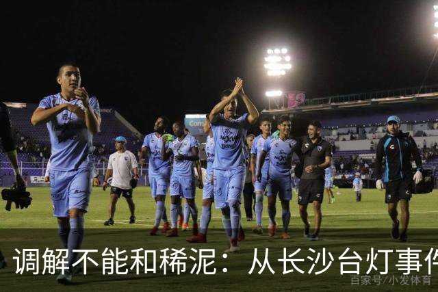 调解不能和稀泥：从长沙台灯事件看基层执法该敢于明辨是非